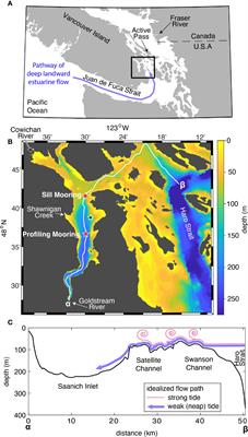 Renewal of seasonally anoxic Saanich Inlet is temporally and spatially dynamic